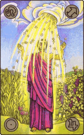 card-53