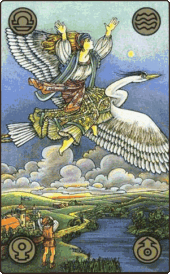 card-8