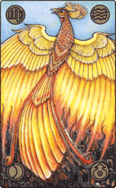 card-2