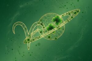 Дългоочаквания успех пристига за 4 зодии, щом Сатурн влезе в Овен на 14 февруари 2026